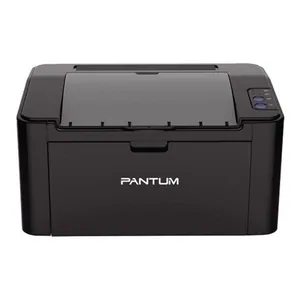 Замена памперса на принтере Pantum P2207 в Перми